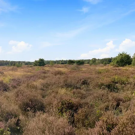 Nummer 10 キャンプ場 3*