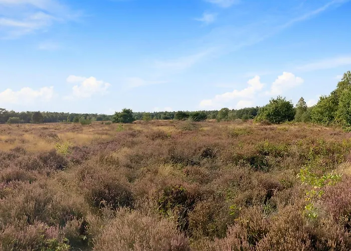 Nummer 10 אתר קמפינג 3*