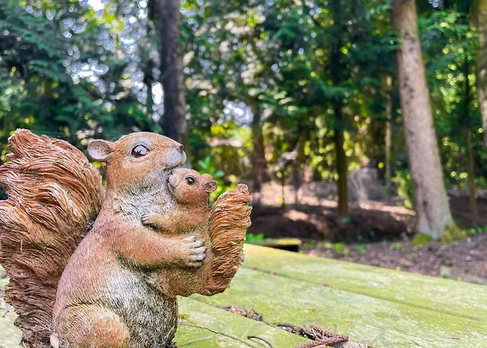 Nummer 10 אתר קמפינג